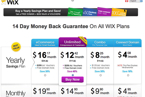 Wix Premium Options